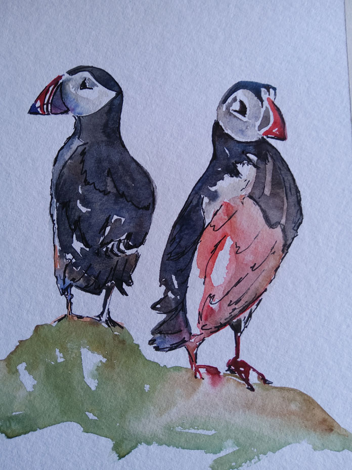 Puffins again