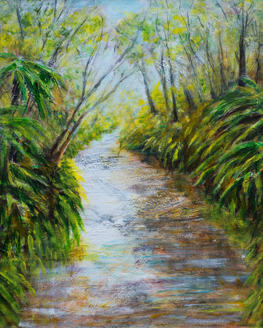 Rainforest stream